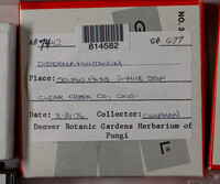 Image Associated With the Occurence